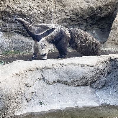神戸どうぶつ王国
