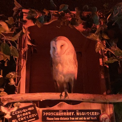 神戸どうぶつ王国