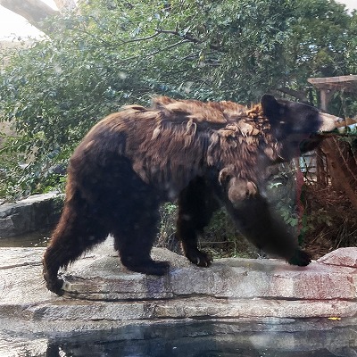 神戸どうぶつ王国