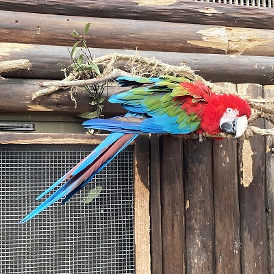 神戸どうぶつ王国