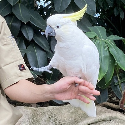 神戸どうぶつ王国