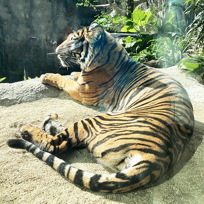 神戸どうぶつ王国