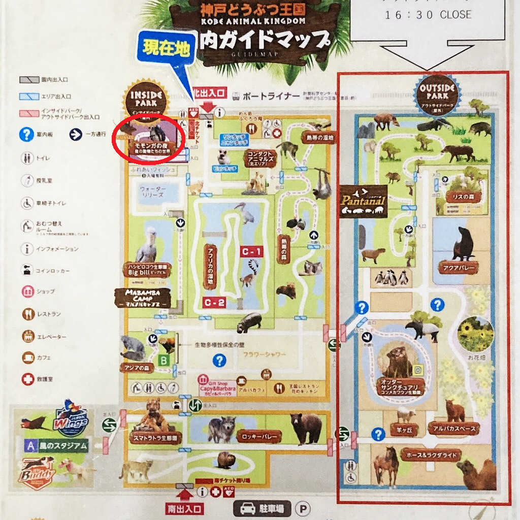 神戸どうぶつ王国