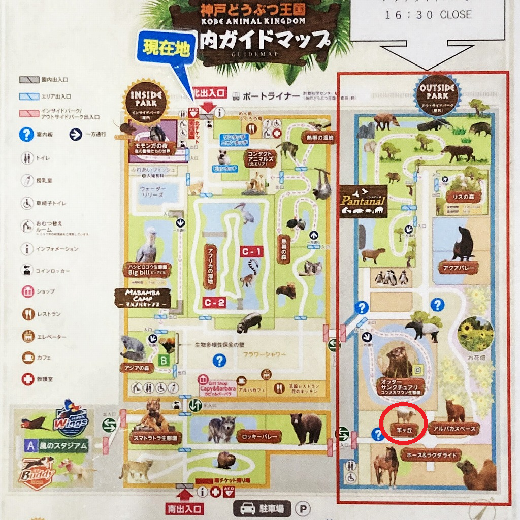 神戸どうぶつ王国