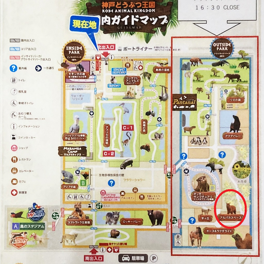 神戸どうぶつ王国