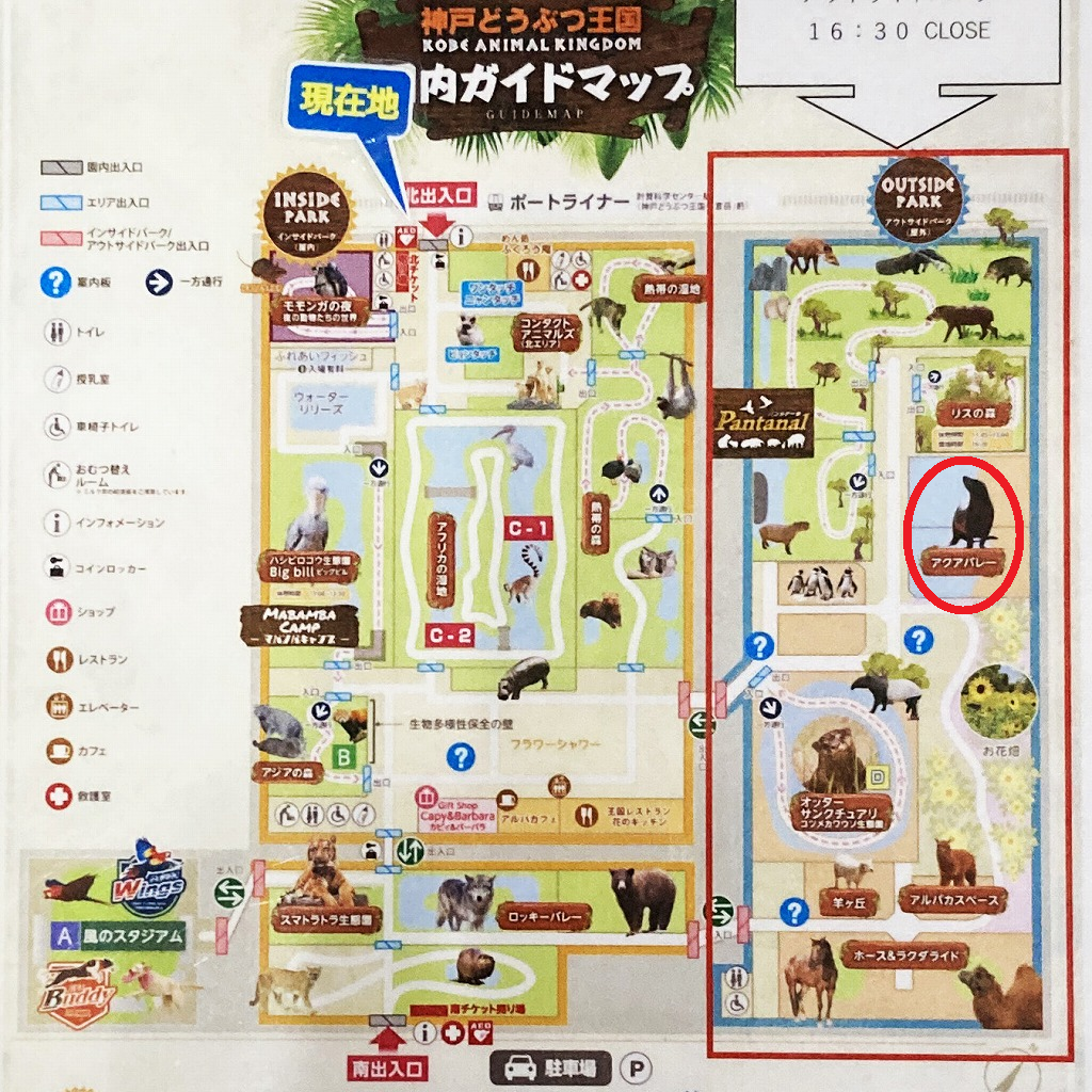 神戸どうぶつ王国