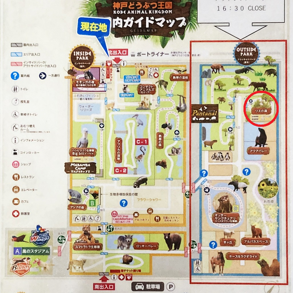 神戸どうぶつ王国