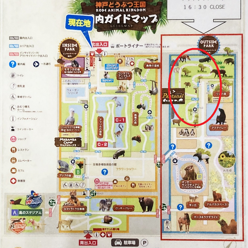 神戸どうぶつ王国