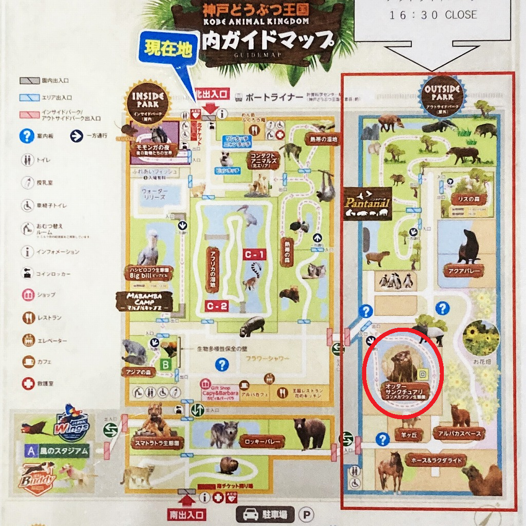 神戸どうぶつ王国