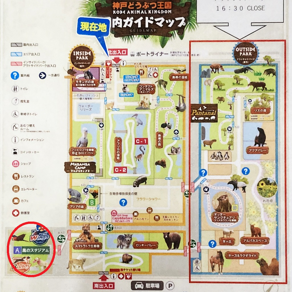 神戸どうぶつ王国