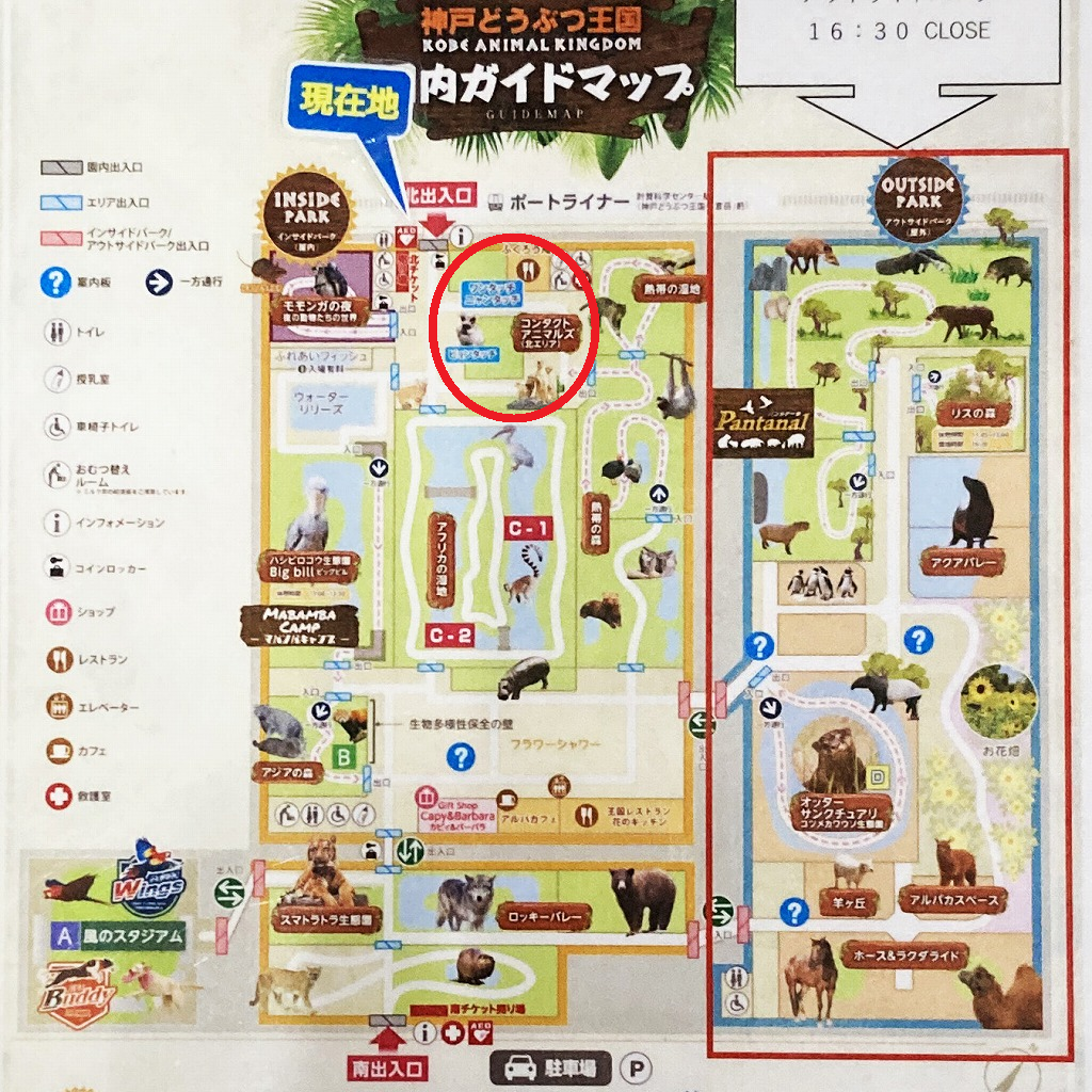 神戸どうぶつ王国