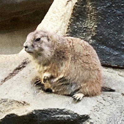 神戸どうぶつ王国