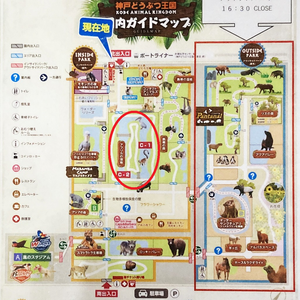 神戸どうぶつ王国