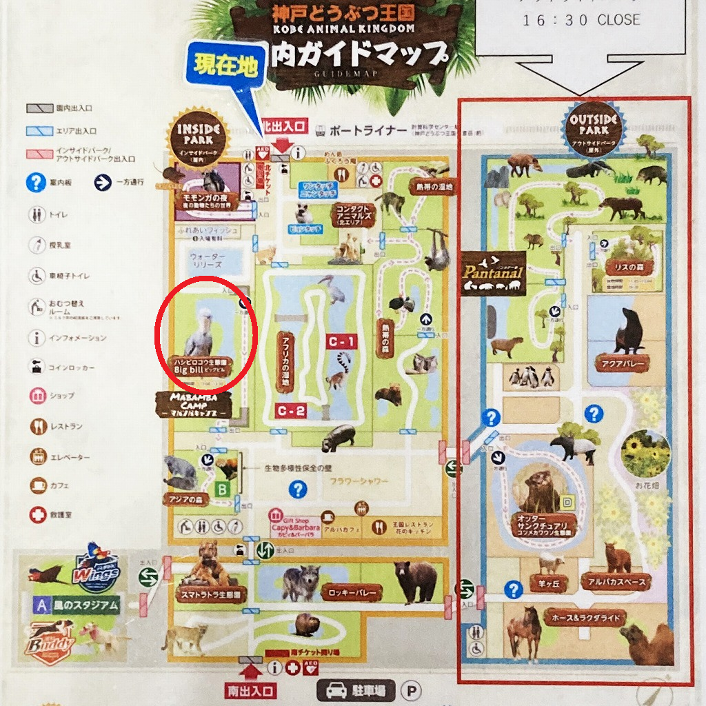 神戸どうぶつ王国