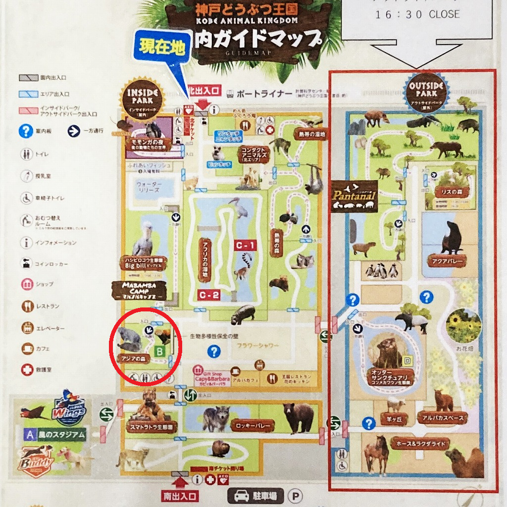 神戸どうぶつ王国