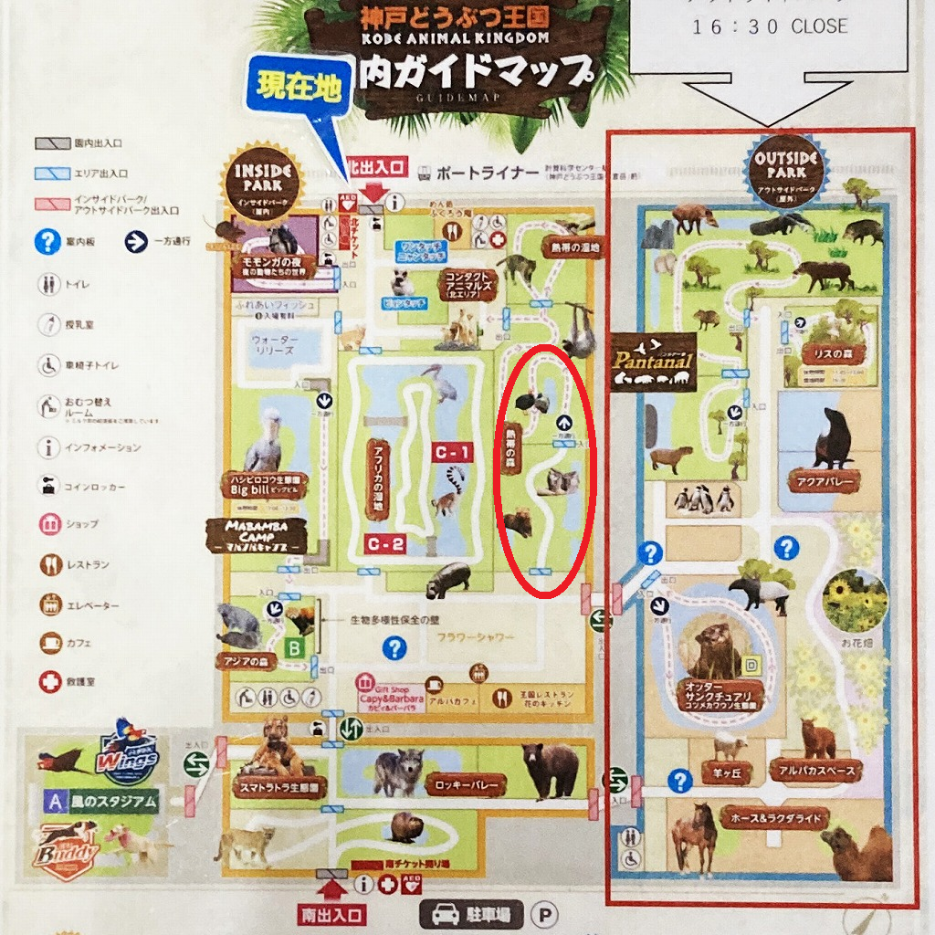 神戸どうぶつ王国