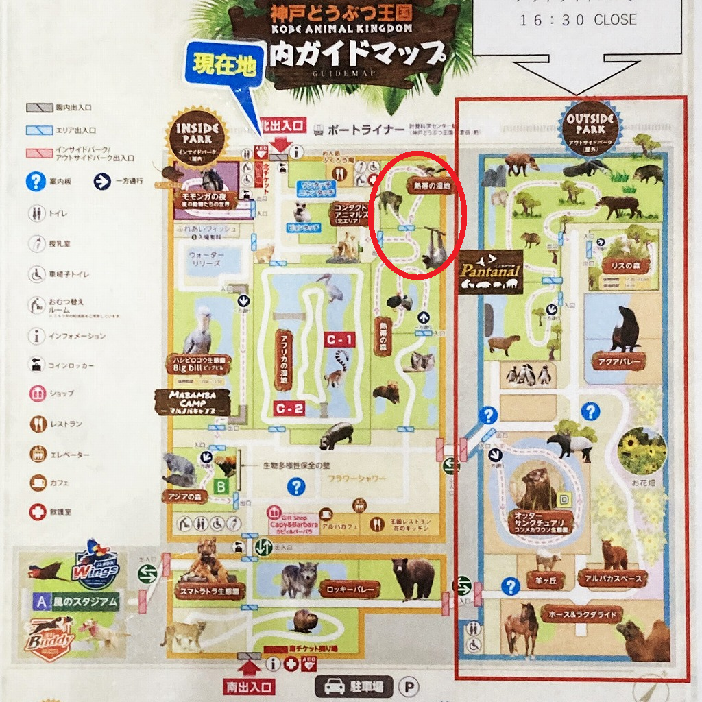 神戸どうぶつ王国