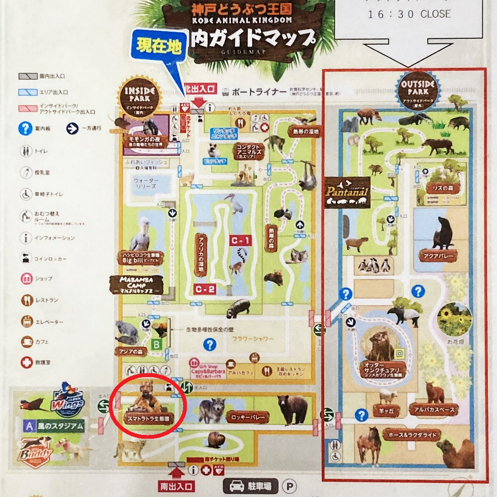 神戸どうぶつ王国