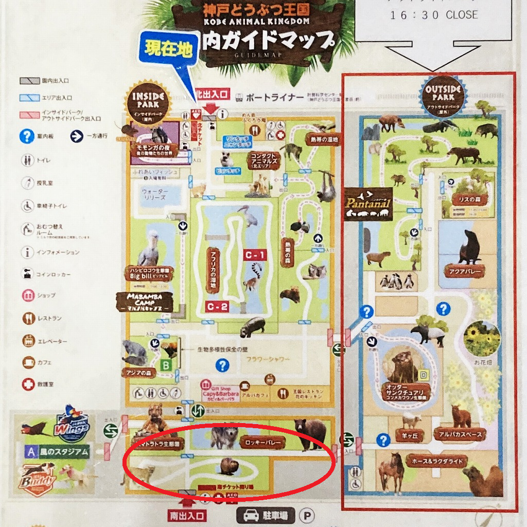 神戸どうぶつ王国