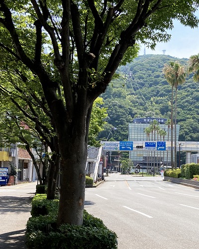 【徳島市の観光】京都発・格安バスで行く！大満足の1泊2日ひとり旅