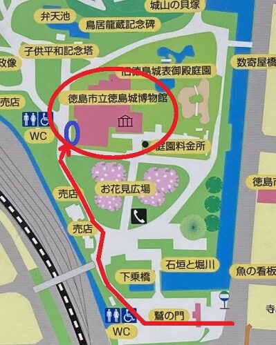【徳島市の観光】京都発・格安バスで行く！大満足の1泊2日ひとり旅
