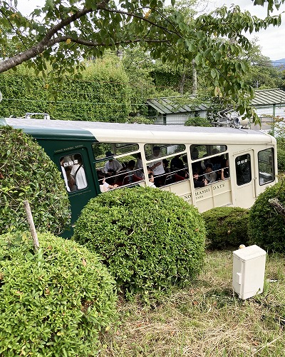 天橋立・傘松公園で絶景の「股のぞき」