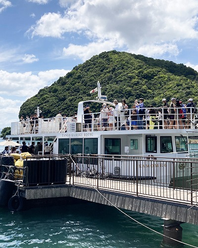 伊根湾めぐり遊覧船で、かもめにえさやり体験