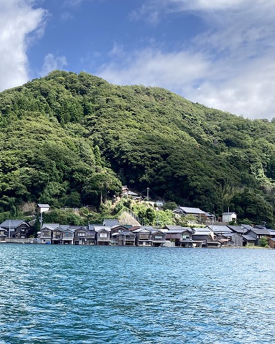 伊根湾めぐり遊覧船で、かもめにえさやり体験
