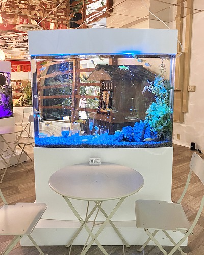 奈良金魚ミュージアム