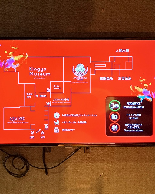 奈良金魚ミュージアム