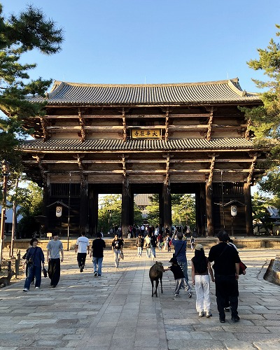 奈良公園と東大寺